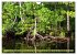 Mangroves - Valuable Habitat (Wall... - Bild 10