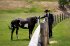 Yellowstone - Die komplette Serie - Bild 7