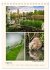 Riede und Moore in Schwaben... - Bild 14