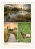 Riede und Moore in Schwaben... - Bild 7