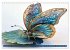 Artwork Schmetterlinge - Filigrane... - Bild 5