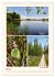 Riede und Moore in Schwaben... - Bild 11