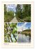 Riede und Moore in Schwaben... - Bild 8