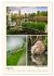 Riede und Moore in Schwaben... - Bild 13