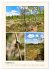 Riede und Moore in Schwaben... - Bild 14