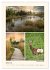 Riede und Moore in Schwaben... - Bild 6
