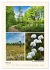 Riede und Moore in Schwaben... - Bild 8