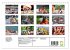 Char Dham - hinduistische Pilgerreise... - Bild 6