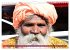 Char Dham - hinduistische Pilgerreise... - Bild 8