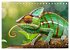 Chamäleon - exotisches Reptil... - Bild 5