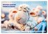 Schlaf gut, mein Schaf - Spruchkalender... - Bild 13