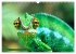 Chamäleon - exotisches Reptil... - Bild 9