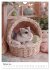 Hamster - süße Tiere zum Verlieben... - Bild 8