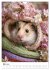 Hamster - süße Tiere zum Verlieben... - Bild 9