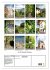 Auf dem Marlinger Waalweg (Wandkalender... - Bild 6