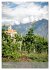 Auf dem Marlinger Waalweg (Wandkalender... - Bild 8