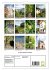 Auf dem Marlinger Waalweg (Wandkalender... - Bild 6