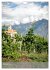 Auf dem Marlinger Waalweg (Wandkalender... - Bild 8