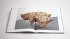 Tony Cragg: Points of View - Bild 9