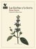 Las hierbas y la tierra - Bild 2