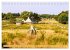 Bretagne. Frankreichs wilder Westen von... - Bild 12