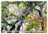 Uttarakhand - Land der Götter... - Bild 14