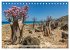 SOKOTRA - Magische Insel (Tischkalender... - Bild 11