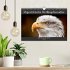 Majestätische Weißkopfseeadler - Der... - Bild 2