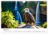 Majestätische Weißkopfseeadler - Der... - Bild 14