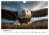 Majestätische Weißkopfseeadler - Der... - Bild 15