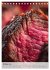 Saftiges Fleisch - Steaks für... - Bild 3
