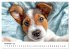 JACK RUSSEL - Kleine Hunde mit großem... - Bild 3