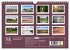 Steinhuder Meer Impressionen... - Bild 6