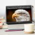 Majestätische Weißkopfseeadler - Der... - Bild 2