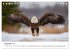 Majestätische Weißkopfseeadler - Der... - Bild 5