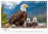 Majestätische Weißkopfseeadler - Der... - Bild 8
