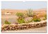 Fuerteventura - Von Stränden und... - Bild 3