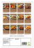 REZEPTE - Kochen in der... - Bild 6