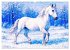 Lipizzaner. Kunstvolle Porträts... - Bild 4
