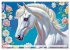 Lipizzaner. Kunstvolle Porträts... - Bild 10