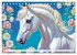Lipizzaner. Kunstvolle Porträts... - Bild 11