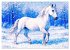 Lipizzaner. Kunstvolle Porträts... - Bild 5