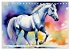 Lipizzaner. Kunstvolle Porträts... - Bild 8