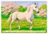 Lipizzaner. Kunstvolle Porträts... - Bild 9