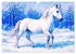 Lipizzaner. Kunstvolle Porträts... - Bild 5