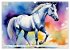 Lipizzaner. Kunstvolle Porträts... - Bild 8