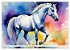 Lipizzaner. Kunstvolle Porträts... - Bild 8