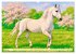 Lipizzaner. Kunstvolle Porträts... - Bild 9