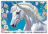 Lipizzaner. Kunstvolle Porträts... - Bild 11