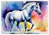 Lipizzaner. Kunstvolle Porträts... - Bild 8
